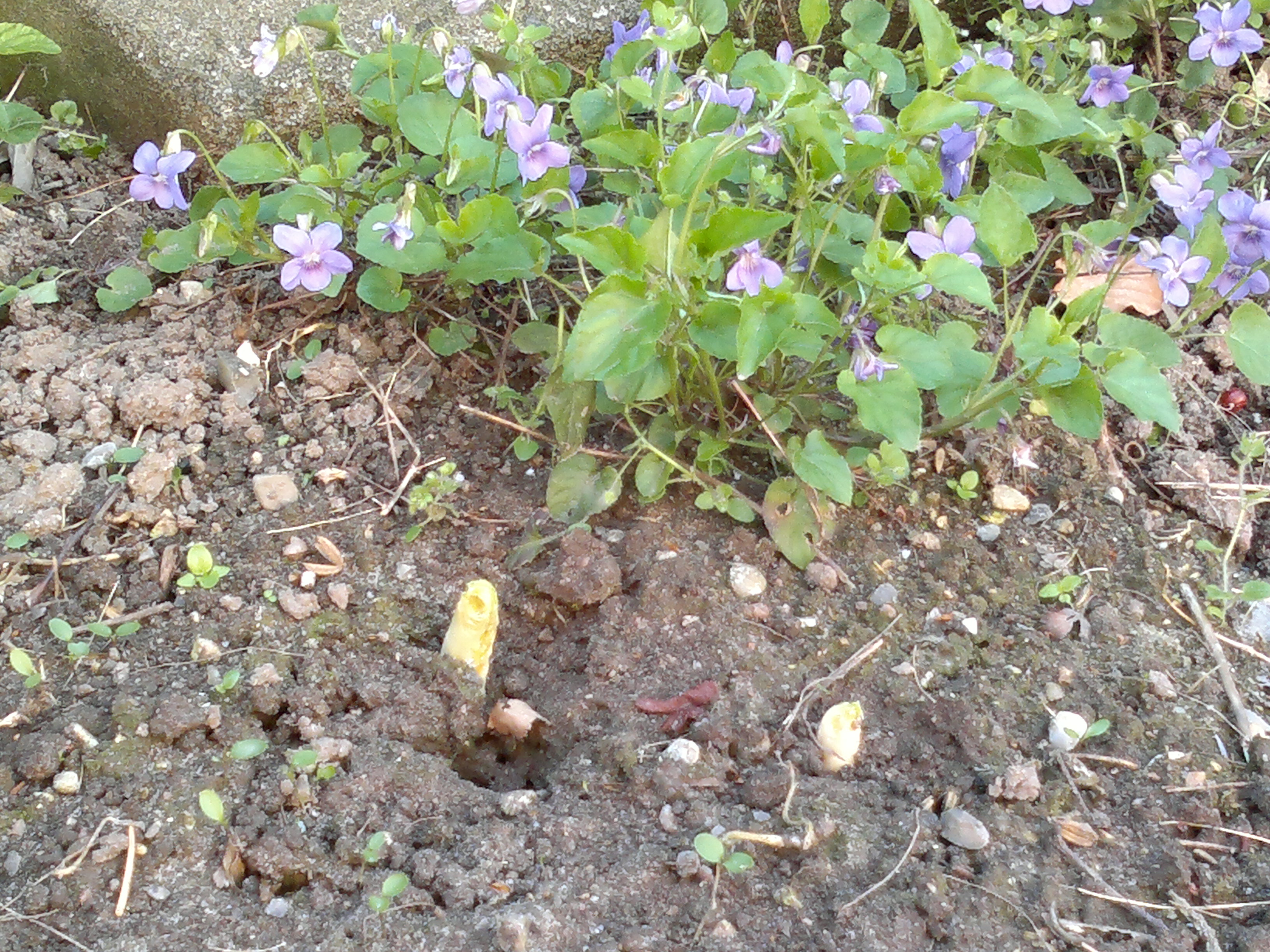 2012-05-05-029.jpg