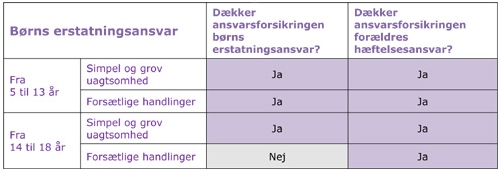 skader grafik.jpg