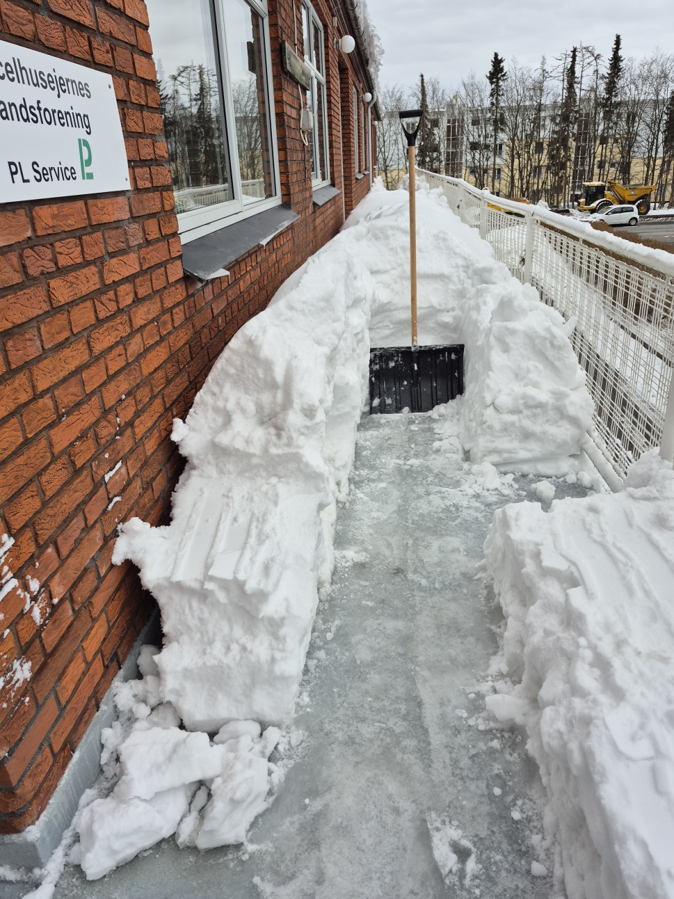 Vissen arm syndrom_low.jpg